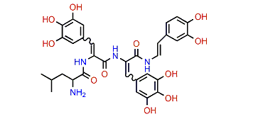 Celenamide D